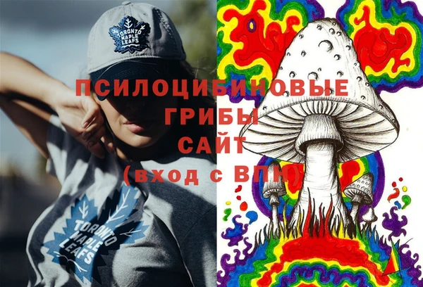 стаф Абаза
