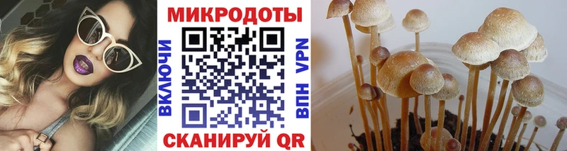 где купить наркоту Усмань Псилоцибиновые грибы мицелий